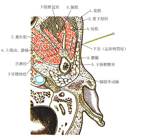 穴的造詞